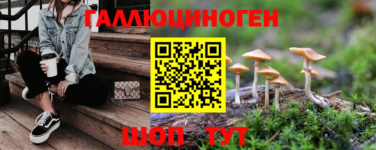 Галлюциногенные грибы GOLDEN TEACHER  Вход с VPN  Десногорск  Псилоцибиновые грибы мицелий 