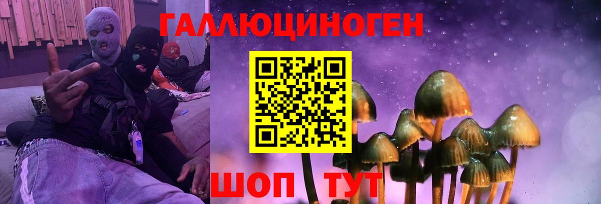 Галлюциногенные грибы Magic Shrooms Десногорск